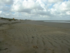 SWG excursies