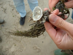 20010909_excursie