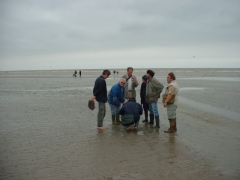 SWG excursies