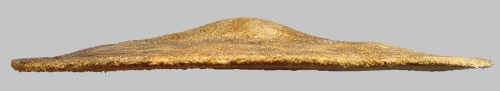 Clypeaster chesheri (lateral) Clypeaster chesheri (lateral)