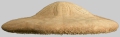 Clypeaster cyclopilus (lateral)