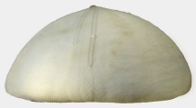 Conolampas diomedeae (lateral), author: van Noordenburg, Henk