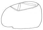 Rhynobrissus pyramidalis (lateral, schematic)