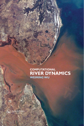 Computational river dynamics