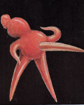 Teredoika aspectabilis