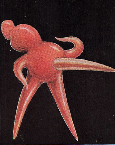 Teredoika aspectabilis Teredoika aspectabilis
