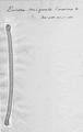 Eunotia gracilis f. maxima, author: Sala, Silvia