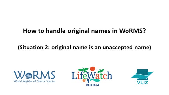 How to add a basionym to Aphia, when the original name is unaccepted?