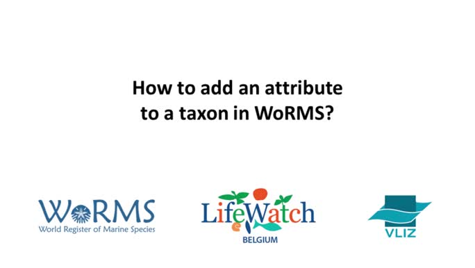 How to add a trait (attribute) to a taxon in Aphia?