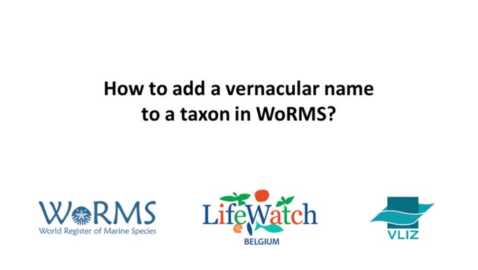 Vernaculars