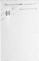 Chromista - Bacillariophyceae (diatoms)