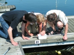 20050618_Zeebrugge