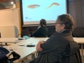 Conferences