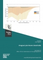 Integraal Plan Boven-Zeeschelde: sub report 16. Effect of the C-alternatives on the hydrodynamics