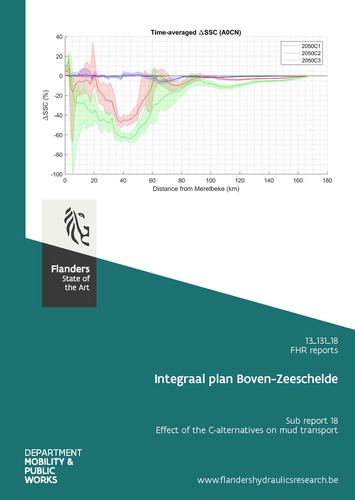 Integraal Plan Bovenzeeschelde: Sub report 18. Effect of the C-alternatives on mud transport