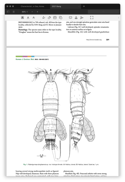 Robertgurneya donghaensis s