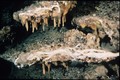 Plakina weinbergi