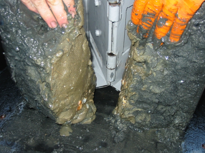 muddy sedimentsample muddy sedimentsample
