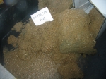 Sediment sample2