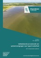 Geïdealiseerde processtudie van systeemovergangen naar hypertroebelheid: WP 1.4 Basismodel sediment