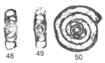 Hemigordius gracilis Vdovenko, 2000