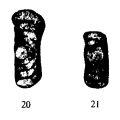 Hemigordius planispiralis Zheng, 1987, author: Le Coze, Franis