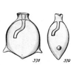 Lagena aequilibrata Buchner, 1940