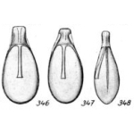 Lagena ampullacea Buchner, 1940