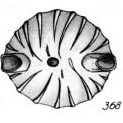 Lagena aurifera Buchner, 1940