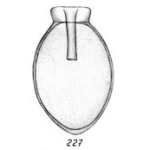 Lagena cucullifera Buchner, 1940