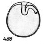 Lagena rittmannii Buchner, 1940