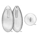 Lagena robusta Buchner, 1940