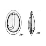 Lagena scutelliformis Buchner, 1940