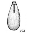 Lagena subtilis Buchner, 1940