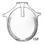 Lingulina separans Buchner, 1940