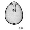 Lagena furcillifera f. simplex Buchner, 1940