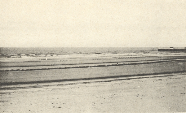 Massart (1908, foto 004)