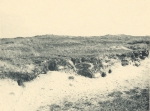 Massart (1908, foto 045)