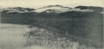 Massart (1908, foto 054)