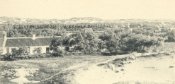 Massart (1908, foto 062), author: J. Massart