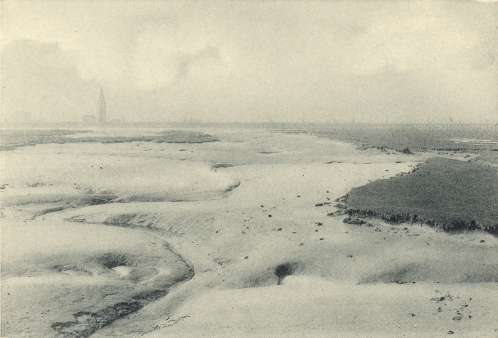 Massart (1908, foto 093)