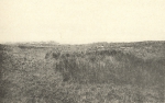 Massart (1908, foto 108)