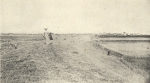 Massart (1908, foto 121)