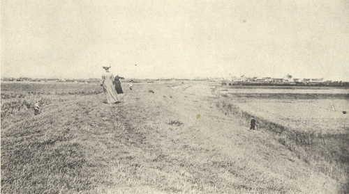 Massart (1908, foto 121)