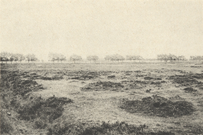Massart (1908, foto 163)