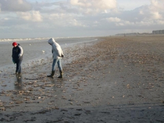 boeiende zoektocht