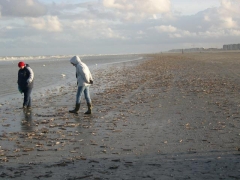 SWG excursies