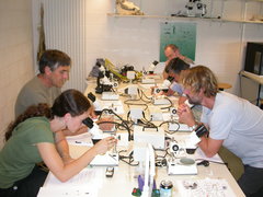 Cursus determineren mosdiertjes