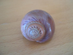 Weekdieren