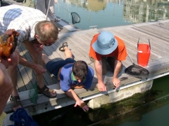 20060617_Zeebrugge